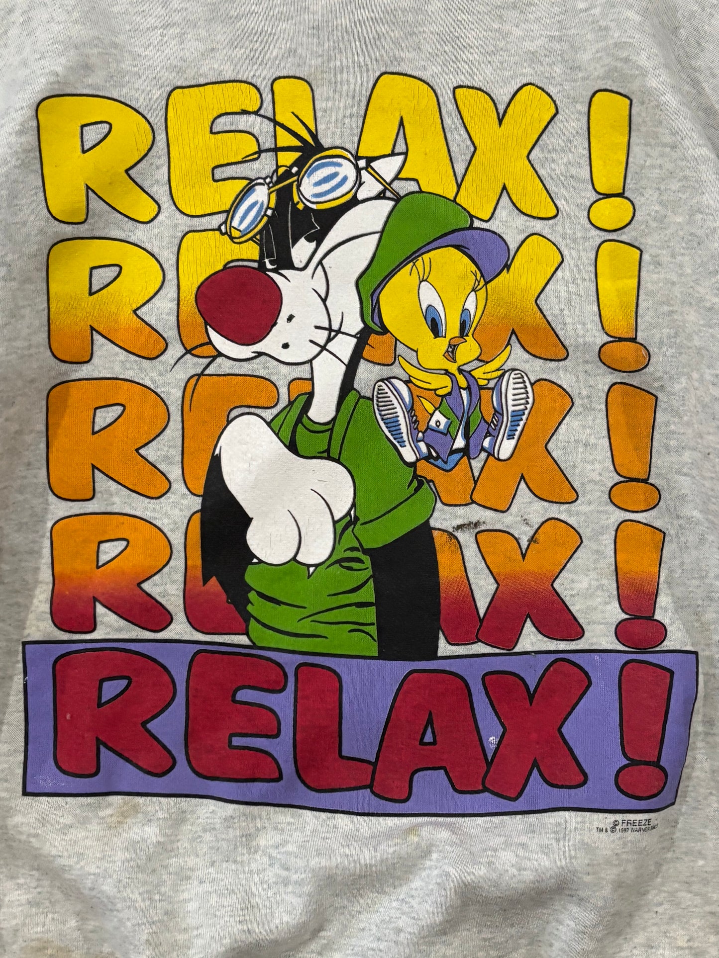 Vintage Looney Tunes Sylvester and Tweety Bird Sweater