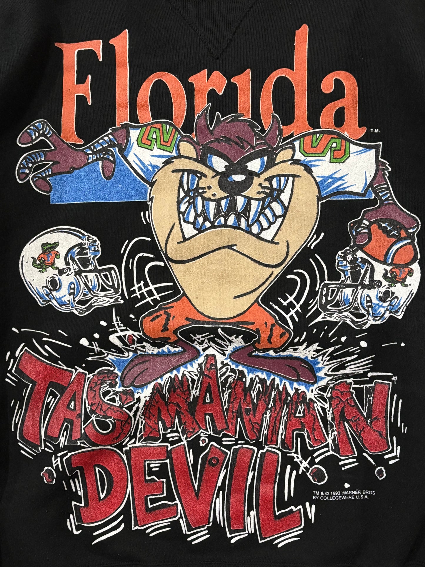 Vintage 90's Taz Florida Sweater