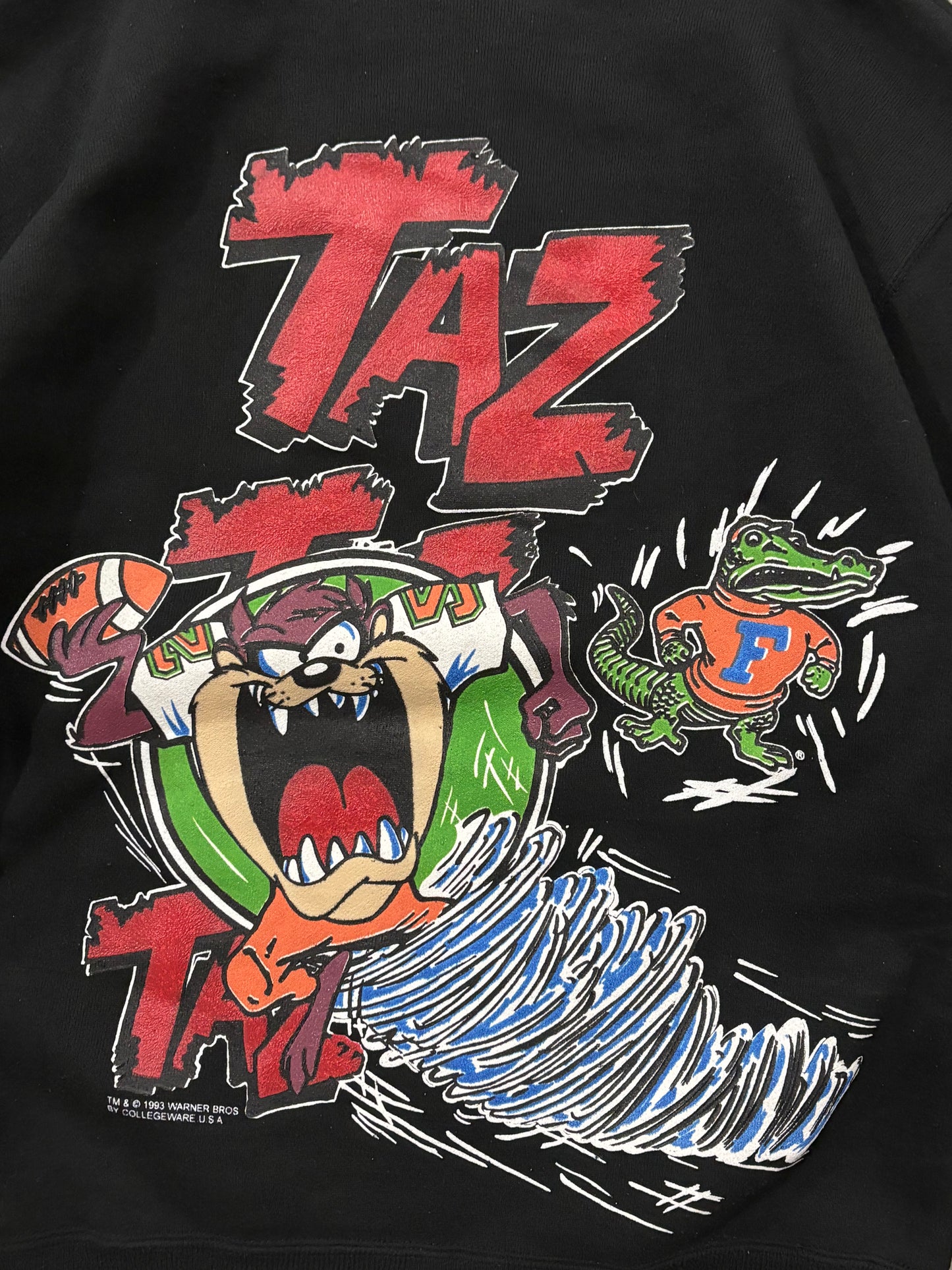 Vintage 90's Taz Florida Sweater