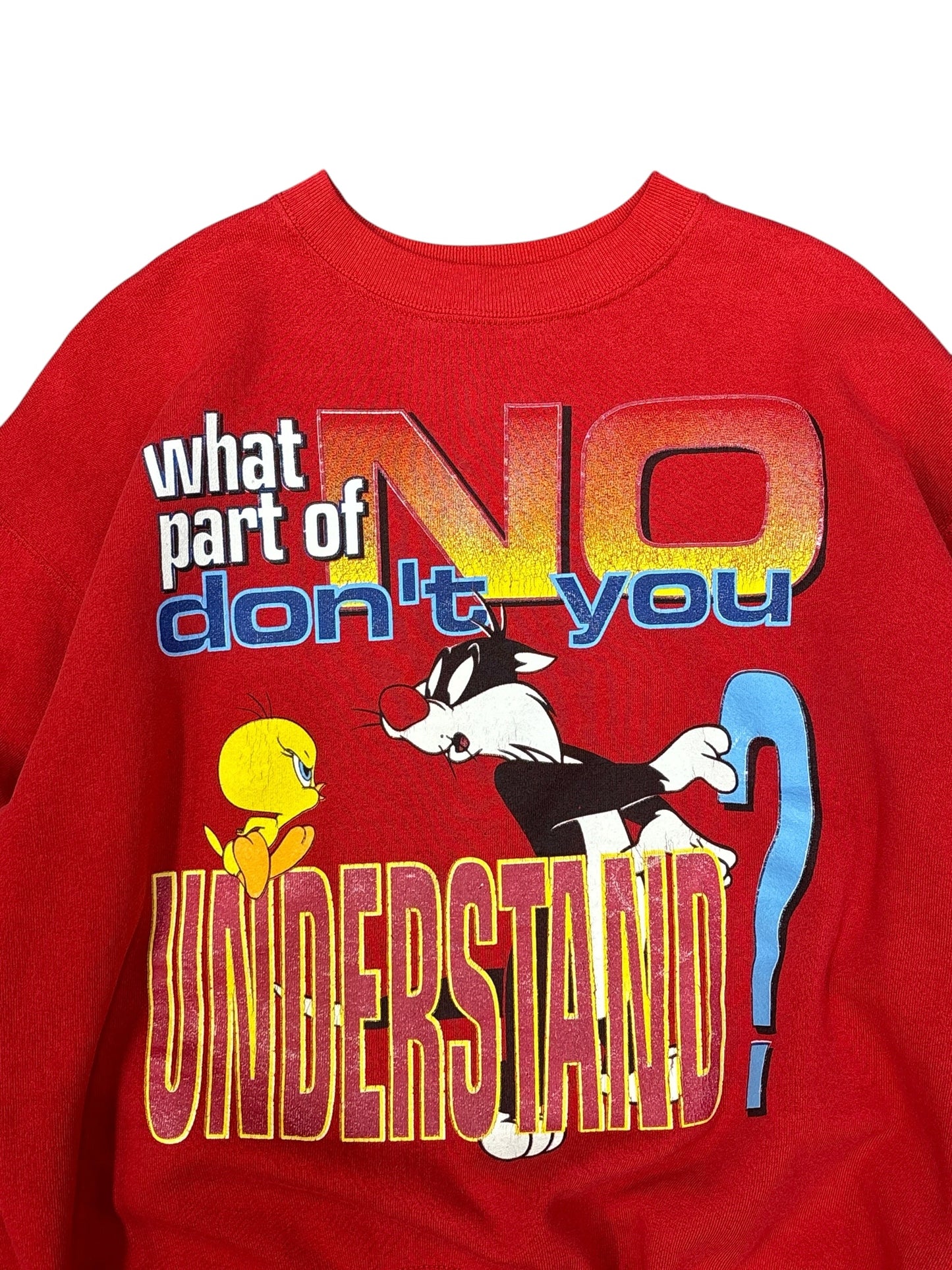 Vintage Looney Tunes Tweety Bird & Sylvester Sweater