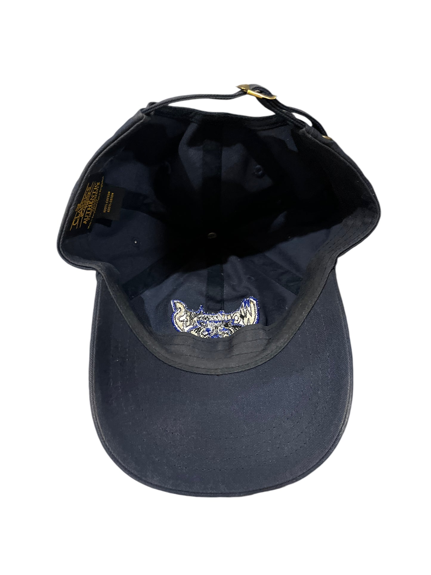 Vintage Michigan Wolverines Hat