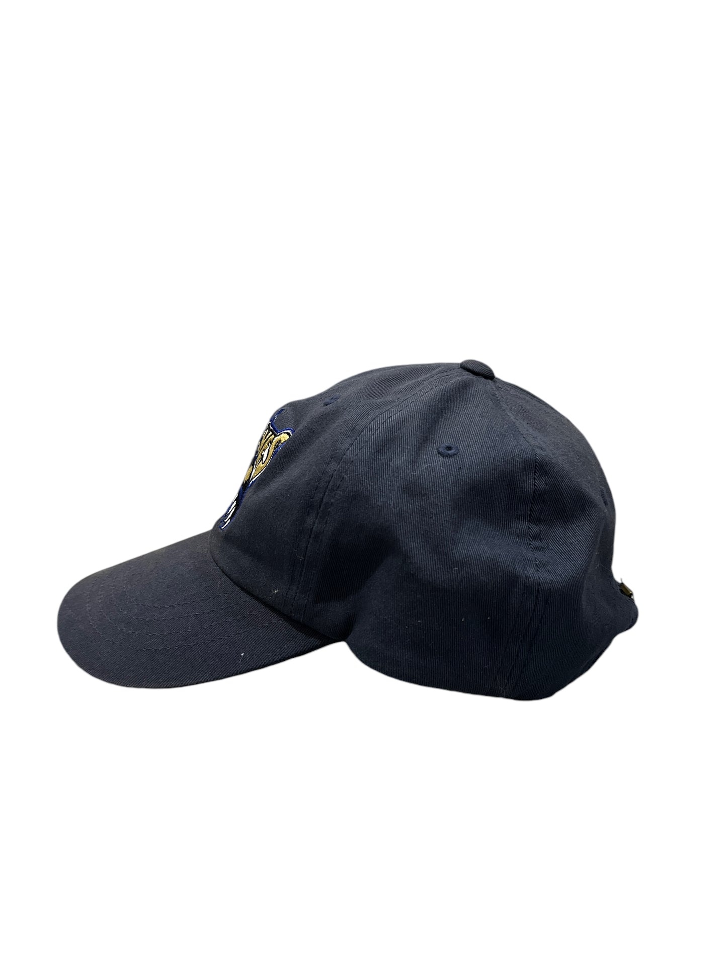 Vintage Michigan Wolverines Hat
