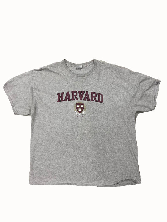 Vintage Harvard Tee Grey