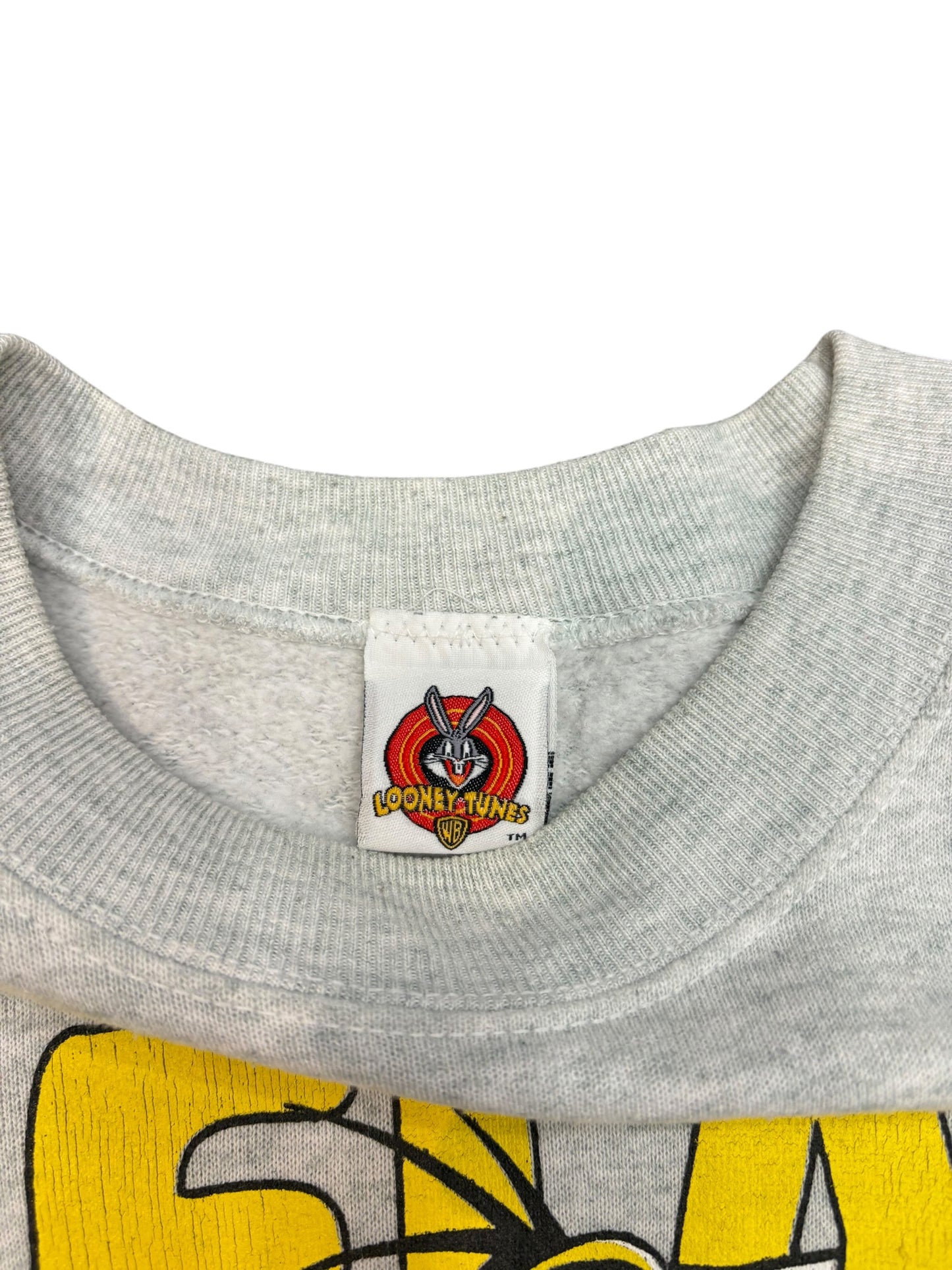 Vintage Looney Tunes Tweety & Sylvester Sweater
